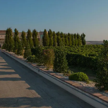 Tenuta Tre Gemme in Cantina - Suite Tre Gemme-2
